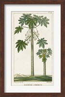 Exotic Palms II Fine Art Print