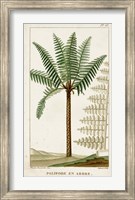 Exotic Palms III Fine Art Print