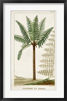 Exotic Palms III Fine Art Print