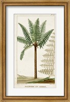 Exotic Palms III Fine Art Print