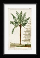 Exotic Palms III Fine Art Print