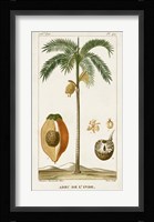 Exotic Palms V Fine Art Print