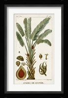 Exotic Palms VI Fine Art Print