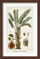 Exotic Palms VI Fine Art Print