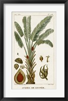 Exotic Palms VI Fine Art Print