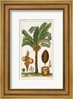 Exotic Palms VII Fine Art Print