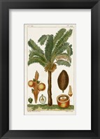 Exotic Palms VII Fine Art Print