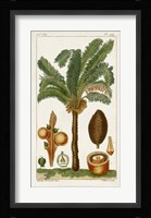 Exotic Palms VII Fine Art Print