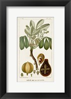 Exotic Palms VIII Fine Art Print