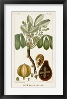 Exotic Palms VIII Fine Art Print