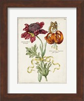 Botanical Bouquet II Fine Art Print
