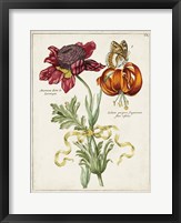 Botanical Bouquet II Fine Art Print
