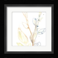 Botany Gesture VIII Framed Print