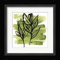 Tropical Sumi-e VI Framed Print