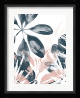Tropical Blush I Framed Print