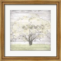 Barn Tree I Fine Art Print