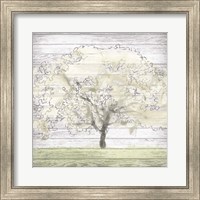 Barn Tree II Fine Art Print