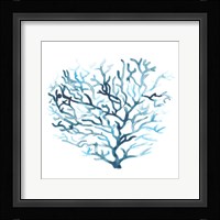 Azure Seafan II Framed Print