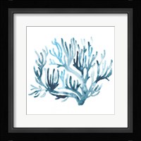 Azure Seafan III Framed Print