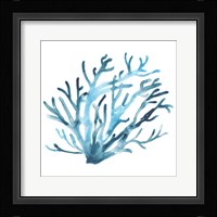 Azure Seafan IV Framed Print