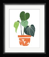 Happy Plants II Framed Print
