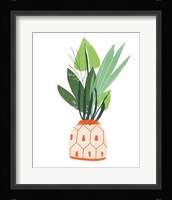 Happy Plants III Framed Print