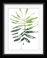 Emerald Tropics I Framed Print