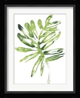 Emerald Tropics III Framed Print