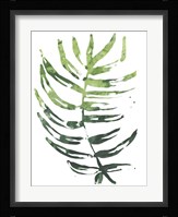 Emerald Tropics IV Framed Print