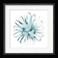 Ocean Cameo II Framed Print