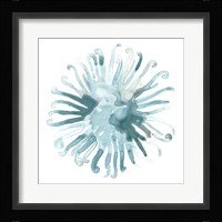Ocean Cameo IV Framed Print