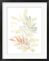 Pastel Tropics II Framed Print