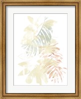 Pastel Tropics III Fine Art Print