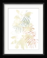 Pastel Tropics III Framed Print