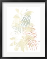 Pastel Tropics III Framed Print