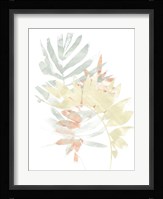 Pastel Tropics IV Framed Print