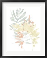 Pastel Tropics IV Framed Print