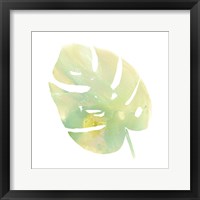 Prisma Tropical I Framed Print