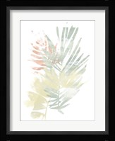 Pastel Tropics I Framed Print