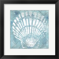 Cerulean Shell I Framed Print