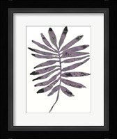 Foliage Fossil I Framed Print