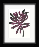 Foliage Fossil III Framed Print