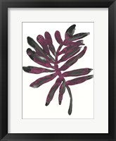 Foliage Fossil III Framed Print
