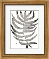 Foliage Fossil IV Fine Art Print