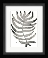 Foliage Fossil IV Framed Print