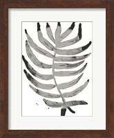 Foliage Fossil IV Fine Art Print