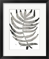 Foliage Fossil IV Framed Print