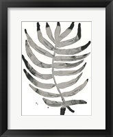 Foliage Fossil IV Framed Print