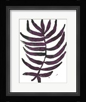 Foliage Fossil VI Framed Print