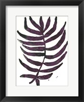 Foliage Fossil VI Framed Print